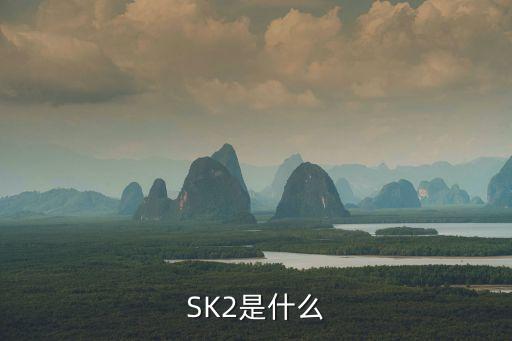 sk2，SK2是什么