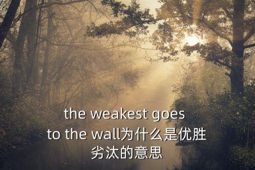 the weakest goes to the wall為什么是優勝劣汰的意思