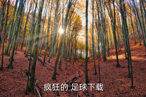  瘋狂的 足球下載
