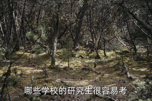 哪些學校的研究生很容易考