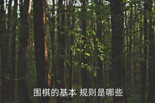圍棋比賽規(guī)則,圍棋規(guī)則:黑子先下白棋交替玩一枚棋