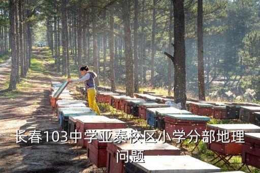 長春103中學，長春103中學亞泰校區小學分部地理問題