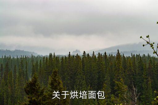面包烘焙，關于烘培面包