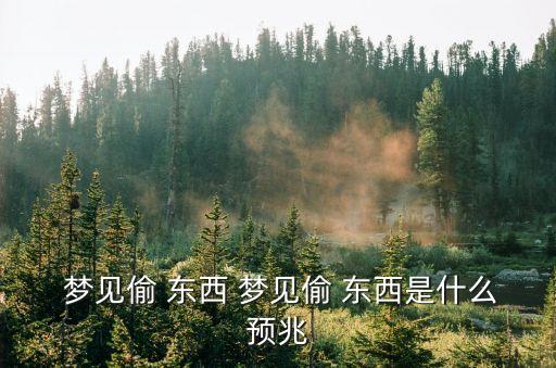  夢見偷 東西 夢見偷 東西是什么預(yù)兆