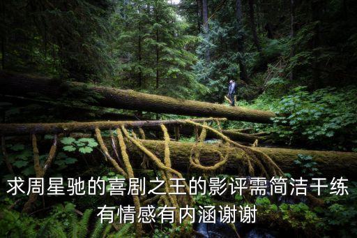 求周星馳的喜劇之王的影評需簡潔干練有情感有內涵謝謝