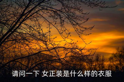 女正裝,女式正裝是指西裝裙、夾克或不定型外套