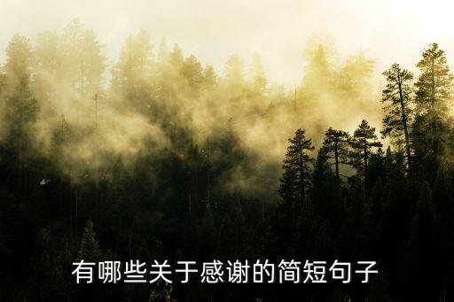 有哪些關于感謝的簡短句子