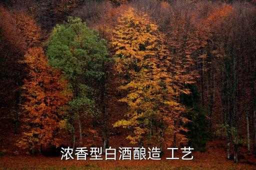 濃香型白酒釀造 工藝