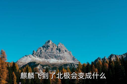 麒麟飛到了北極會變成什么