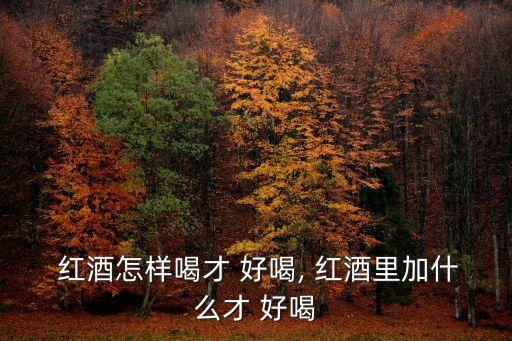  紅酒怎樣喝才 好喝, 紅酒里加什么才 好喝