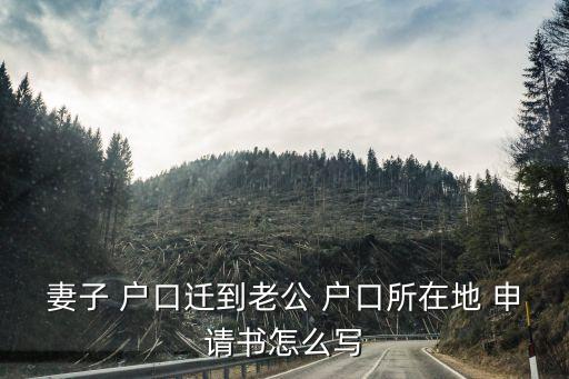 妻子 戶口遷到老公 戶口所在地 申請(qǐng)書怎么寫