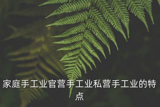家庭手工業(yè)官營(yíng)手工業(yè)私營(yíng)手工業(yè)的特點(diǎn)