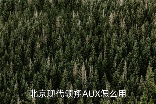 北京現(xiàn)代領(lǐng)翔AUX怎么用