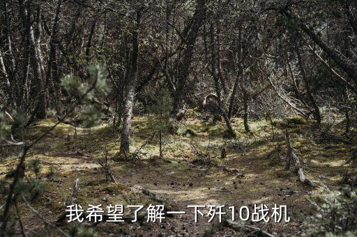 殲10圖片，今日關注 殲10戰機