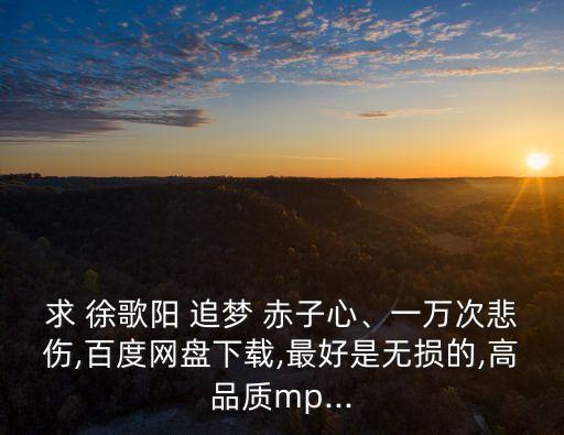 求 徐歌陽 追夢 赤子心、一萬次悲傷,百度網盤下載,最好是無損的,高品質mp...