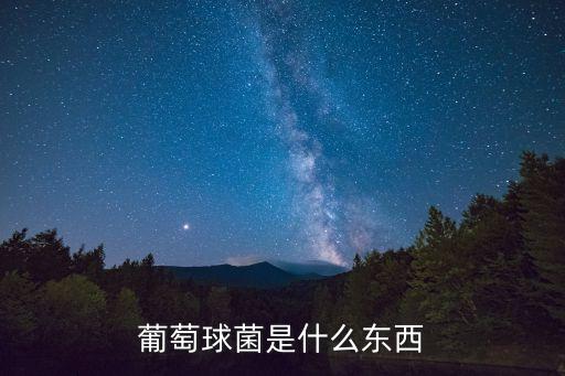 葡萄球菌，葡萄球菌是什么東西