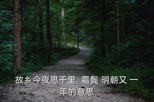故鄉今夜思千里, 霜鬢 明朝又 一年的意思