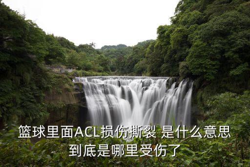 acl撕裂，籃球里面ACL損傷撕裂 是什么意思到底是哪里受傷了