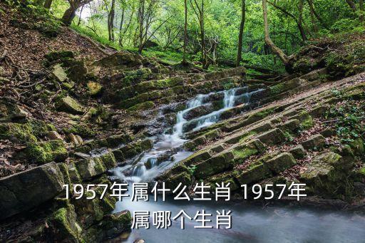 1957,2018年是豬年!豬年的含義有哪些?