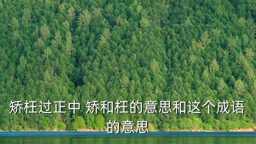 矯枉，帶矯枉字的成語有哪些成語有哪些
