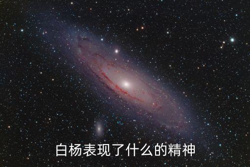 白楊精神，白楊表現(xiàn)了什么的精神