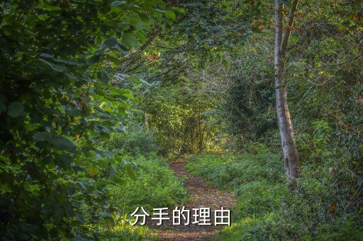 分手的理由