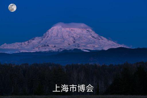 上海市中華老字號博覽會，上海市博會