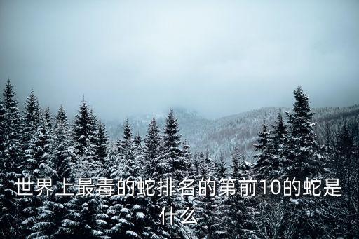 世界上最毒的蛇排名的第前10的蛇是什么