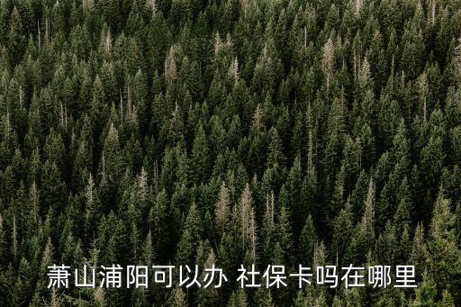 蕭山社保,蕭山濮陽人社社保辦證窗口開放辦理社保卡業務