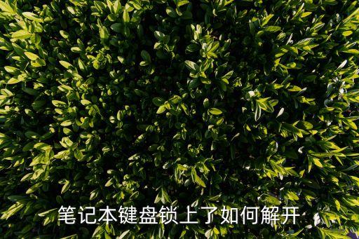 筆記本鍵盤鎖上了如何解開