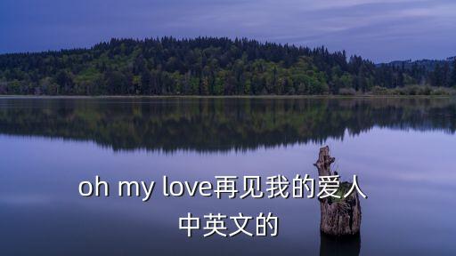 oh my love再見我的愛人 中英文的