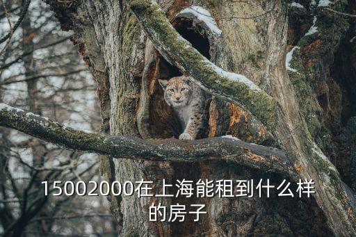 上海市區1500一月的房子，浦東高橋地區租房有1500元一月的嗎