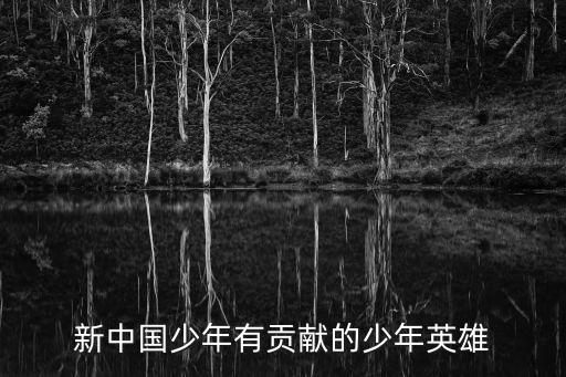 少年英雄事跡，新中國少年有貢獻的少年英雄