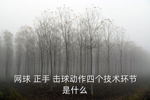 網(wǎng)球正手擊球,我國男子網(wǎng)球選手包辦四局不敵泰國奪金