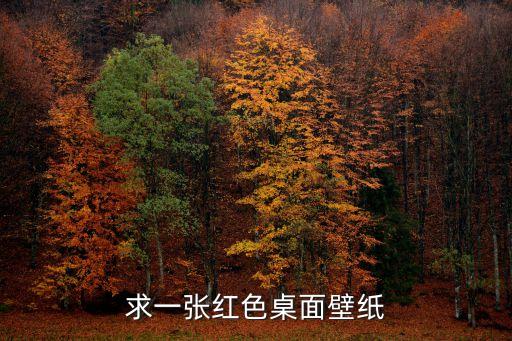 求一張紅色桌面壁紙