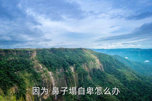 鼻子塌怎么辦,玻尿酸隆鼻改善塌鼻子可做什么樣的鼻子?