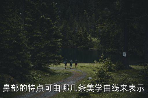 鼻部美學，鼻子的美學標準是什么