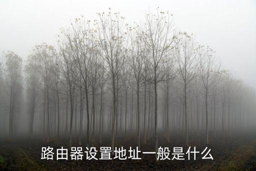 路由器設(shè)置地址一般是什么