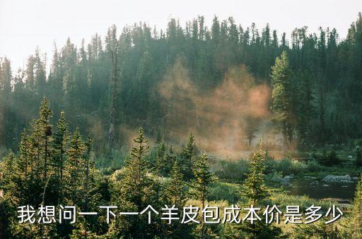 羊皮包，我想問一下一個羊皮包成本價是多少