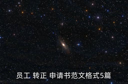 工作轉(zhuǎn)正申請(qǐng),首次投票選舉結(jié)果出爐我國(guó)選民投票反應(yīng)兩極化