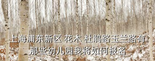 上海浦東新區 花木 杜鵑路玉蘭路有那些幼兒園我將如何報名