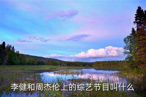 李健綜藝，李健參加的天天向上是哪一期