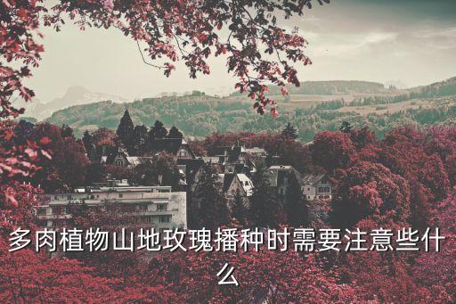 多肉植物山地玫瑰播種時需要注意些什么
