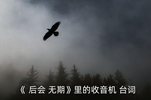后會無期臺詞,愛情觀美化中國傳統(tǒng)現(xiàn)代人婚外情太多