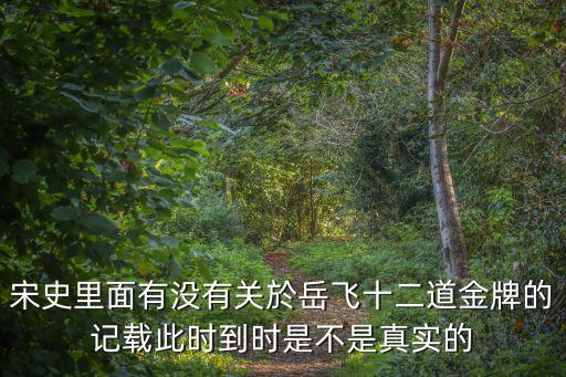 宋史里面有沒有關於岳飛十二道金牌的記載此時到時是不是真實的