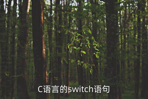 c語言switch，請問c語言的switch語句到底是什么