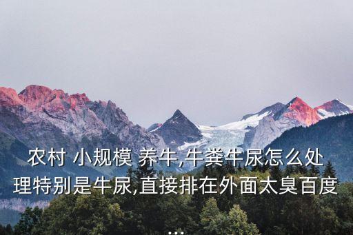 小規(guī)模養(yǎng)牛,牛糞尿怎么處理?怎么養(yǎng)牛?科學(xué)養(yǎng)牛!