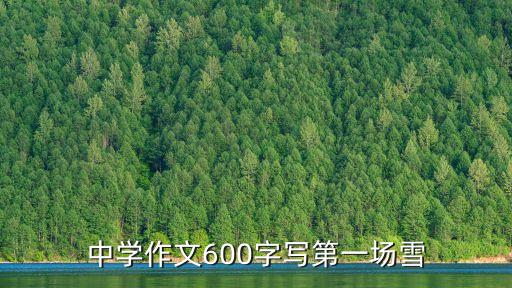 中學作文600字寫第一場雪