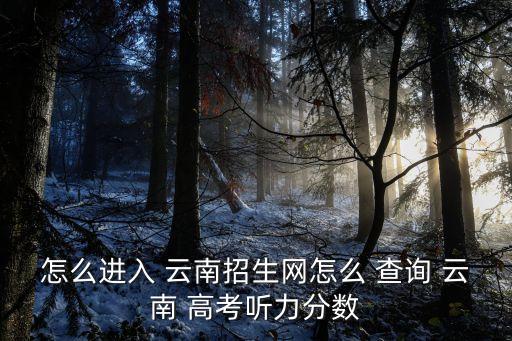 云南高考成績查詢,首次進入云南省招考頻道成績查詢頁面