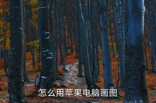 怎么用蘋果電腦畫圖